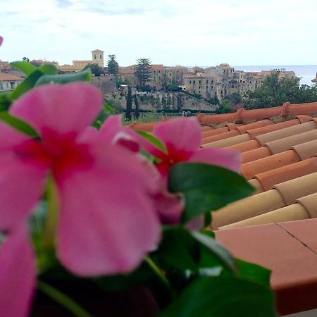 Villa Il Barone Tropea Bagian luar foto